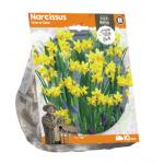 Baltus Narcissus Tete a Tete bloembollen per 10 stuks